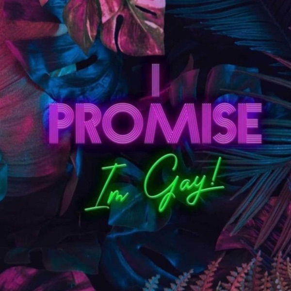 I promise, I'm Gay! Artwork