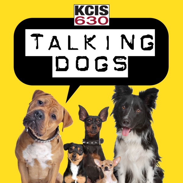 Talking Dogs on KCIS Artwork