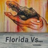 Florida Vs... artwork