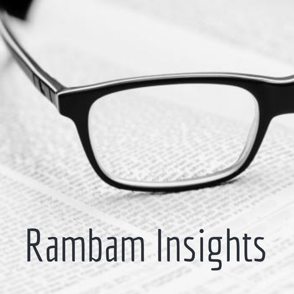 Rambam Insights Artwork