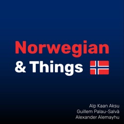 Learning Norwegian using Anki