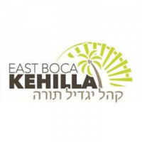 Rabbi Light Shiurim podcast