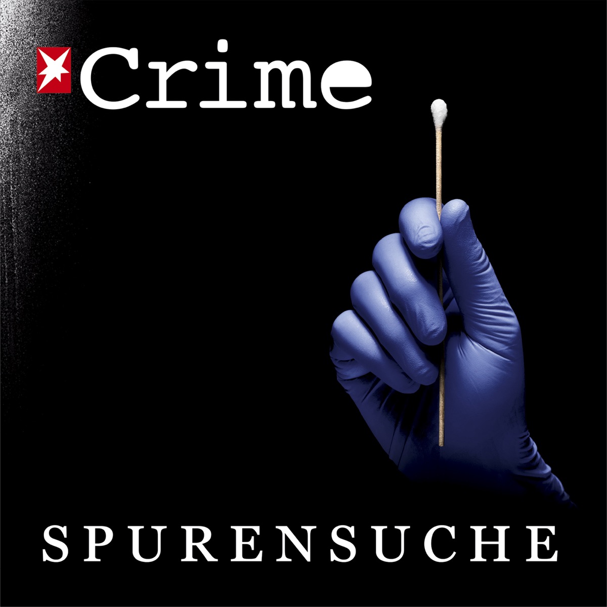 Stern Crime Spurensuche Podcast Podtail