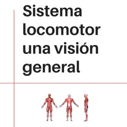 Sistema locomotor