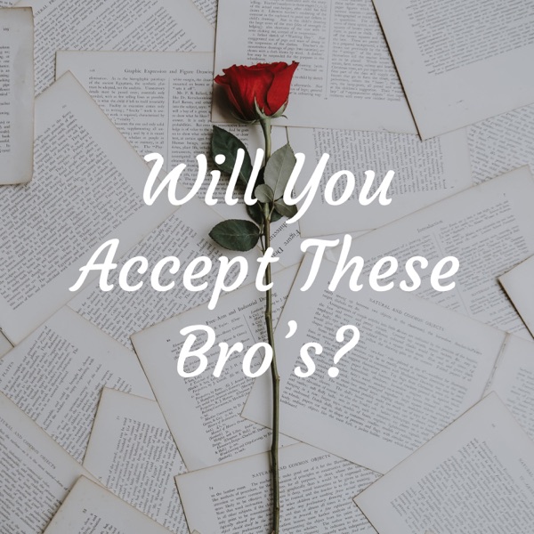 Will You Accept These Bro's? Artwork