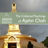 The Collected Teachings of Ajahn Chah - Audiobook - Amaravati Buddhist Monastery