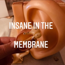Insane in the Membrane