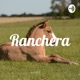 Ranchera (Trailer)