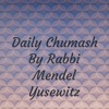 Daily Chumash By Rabbi Mendel Yusewitz artwork