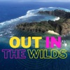 Out In The Wilds artwork