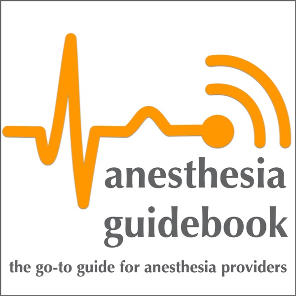 Anesthesia Guidebook Artwork