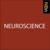 New Books in Neuroscience artwork