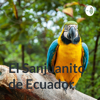 El Sanjuanito de Ecuador - Rabhin Chila
