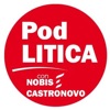 POD-LITICA artwork