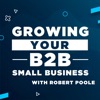 Growing Your B2B Small Business with Robert Poole artwork