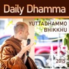 Daily Dhamma (2015) artwork
