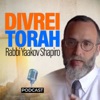 Divrei Torah artwork