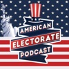 The American Electorate artwork