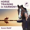 Horse Training in Harmony artwork