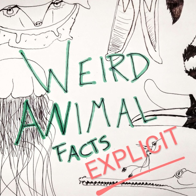 Weird Animal Facts: Explicit | 喜马拉雅国际版Himalaya
