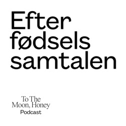 Efterfødselssamtalen