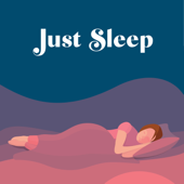 Just Sleep - Bedtime Stories for Adults - Taesha Glasgow
