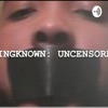 Kingknown: Uncensored  artwork