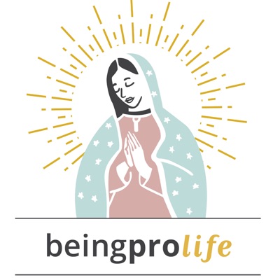 Being Pro Life Being Pro Life