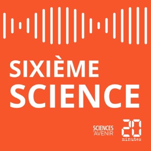 Sixième Science