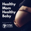Healthy Mom Healthy Baby Tennessee artwork