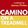 Camino On A Treadmill artwork