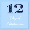 12 Days of Christmas is…  artwork
