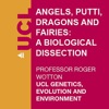 Angels, Putti, Dragons and Fairies: A Biological Dissection - Video artwork
