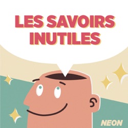 Les savoirs inutiles - NEON