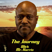 The Journey With Mr. Harris | Subway Surfing Part 3: From Train Surfing To Surfing Waves