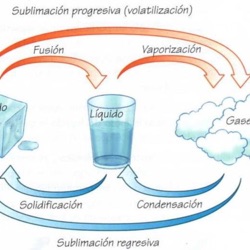 Estados De La Materia