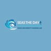 Seas The Day artwork