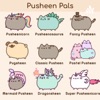 Pusheen Pals artwork