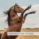 Expedition Pferd