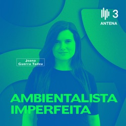 Ambientalista Imperfeita