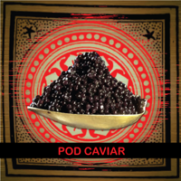 Pod Caviar S3E3 | Robert Hanssen 
