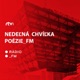 Nedeľná chvíľka poézie_FM s Vasiliosom Chaleplisom (26.5.2024 12:15)