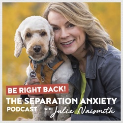 091 From Abandoned to Adored: How one Non-Profit is Helping Rescue Dogs with Separation Anxiety