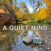A Quiet Mind - Robert Jackson