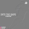 INTO THE GAPS artwork