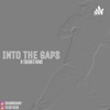 INTO THE GAPS  artwork