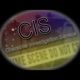 CIS - Character Investigation Service