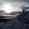 Imagining Freedom