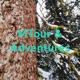 MTour & Adventures