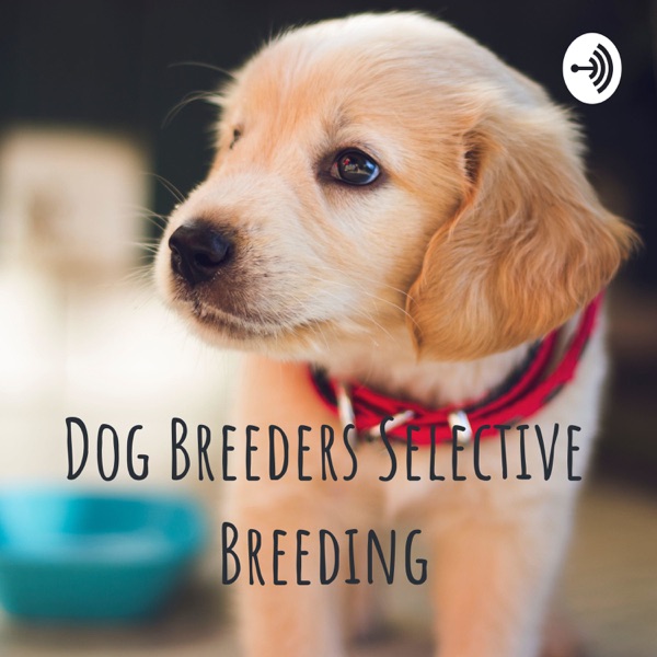 Dog Breeders Selective Breeding Artwork
